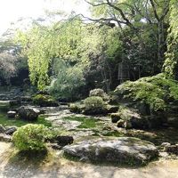 千利休が設計したというお庭（枝垂れ桜が良さそう）