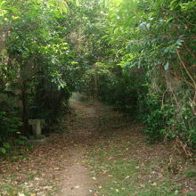 裏道の風情はかなり心細い感じです