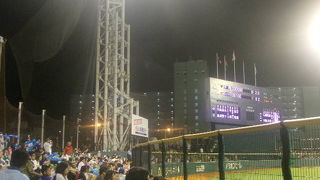 年に二試合だけ、プロ野球の公式戦が開催されています