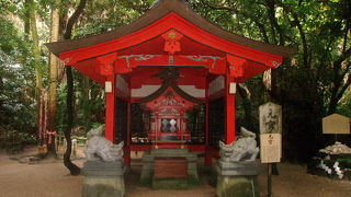 本当の良さを知るために、是非元宮まで足を運んでみて下さい