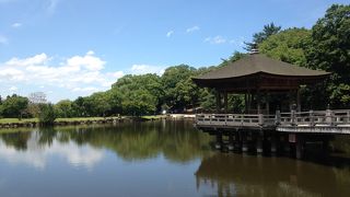 浮見堂のある池!!