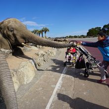 こんなに近いです！