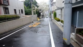 氷川神社へ続く坂