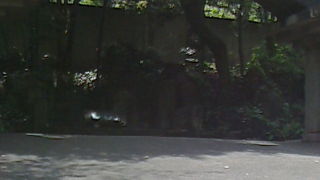 日比谷公園の散策コースのひとつに。