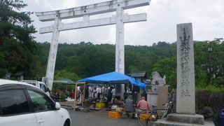 骨董市が開かれていました