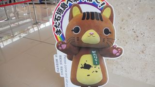 塩に関するものの品ぞろえが豊富