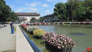 動物園に美術館、博物館もあります