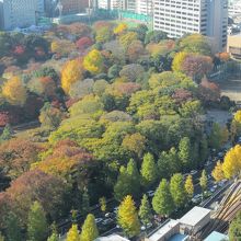 小石川植物園の眺め