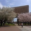 山下公園、中華街、みなとみらいにも徒歩圏、観光に便利な立地