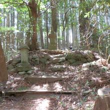 箸折峠の牛馬童子石像付近の風景です。