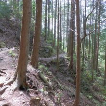 熊野古道、中辺路を行く。