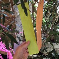 願いをこめて。