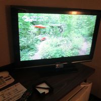 テレビは大きくない　