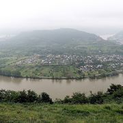 屋根も付いていない観光リフトだが、ライン川の景色は最高です