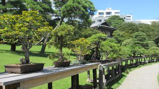 庭園が美しいです