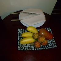 ウェルカムフルーツ