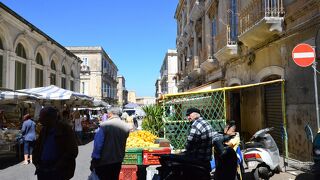新鮮な魚がいっぱい