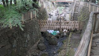 ねこが多いです