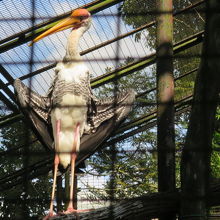 なんか、エロいっ！？