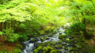 マイナスイオンたっぷり！