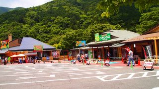 道の駅　天城越え