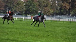 オートゥイユ競馬場