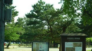 展示品が素晴らしい