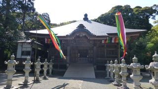 シャガの花が美しい