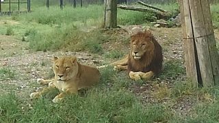 人も少なくて　すぐに遊べて穴場だった！