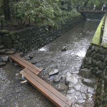 歩いて渡れます