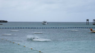 ６月のオフシーズンでも泳げます