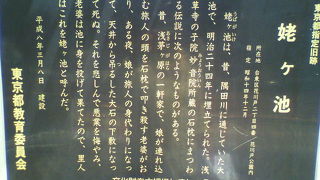 埋め立てられた池