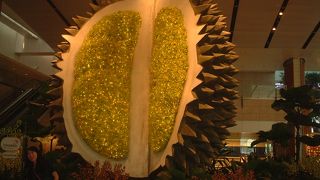 かなり不便です