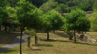 二上山でハイキング