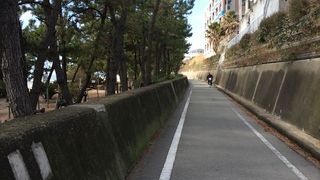浜の散歩道は、海沿いをウオーキングやサイクリングするために整備された道で、朝になると多くの人で賑わいます。