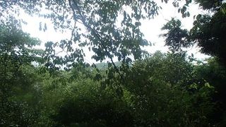 柏原山森林公園