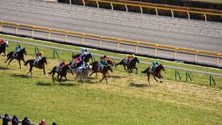 日本競馬のメッカ