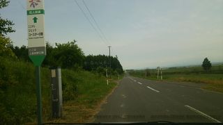 一本道で富良野の広大な畑を眺めながらドライブ