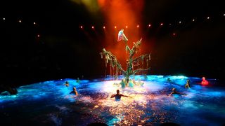 華麗な水のショー