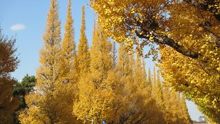 スポーツのメッカです