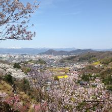 花見山の上から市内を見渡す