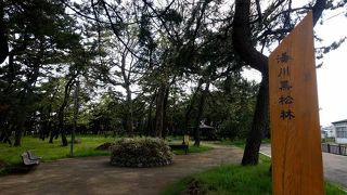 温泉街に広がる緑地帯