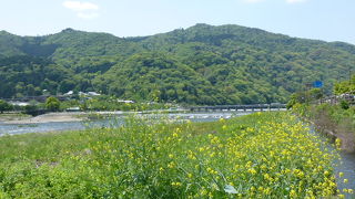 四季折々に楽しめる素晴らしいところ