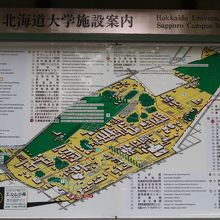 大学内の案内図