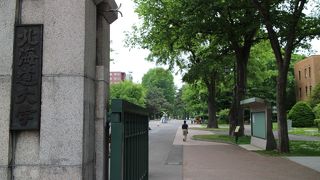 札幌駅からゆっくり歩いて10分位でいける大学というより広大な公園