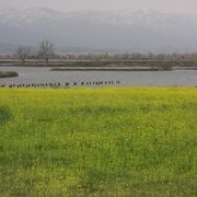 イベントと重なってしまい、ちょっと残念