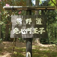 木漏れ日射す、熊野道　発心門王子。