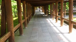 青紅葉が美しい