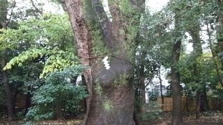 パワーを感じる