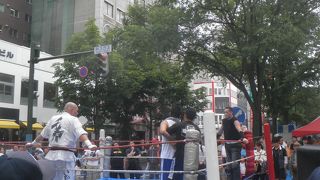 プロレスもやってました